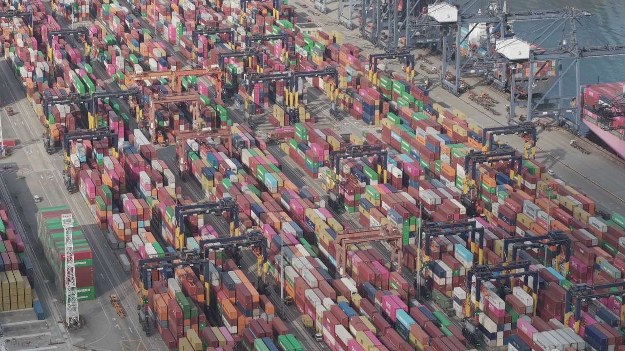 维港 41