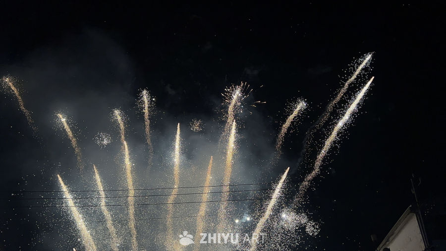璀璨夜空的烟花