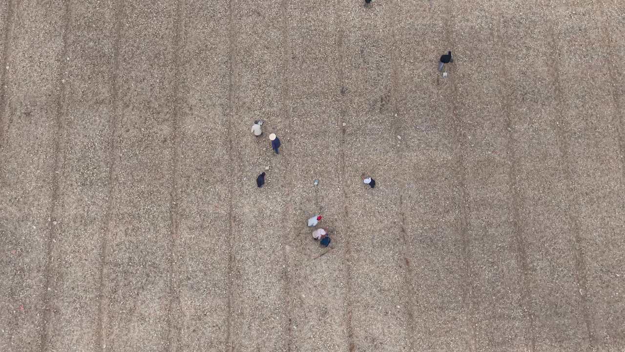 协作的田野