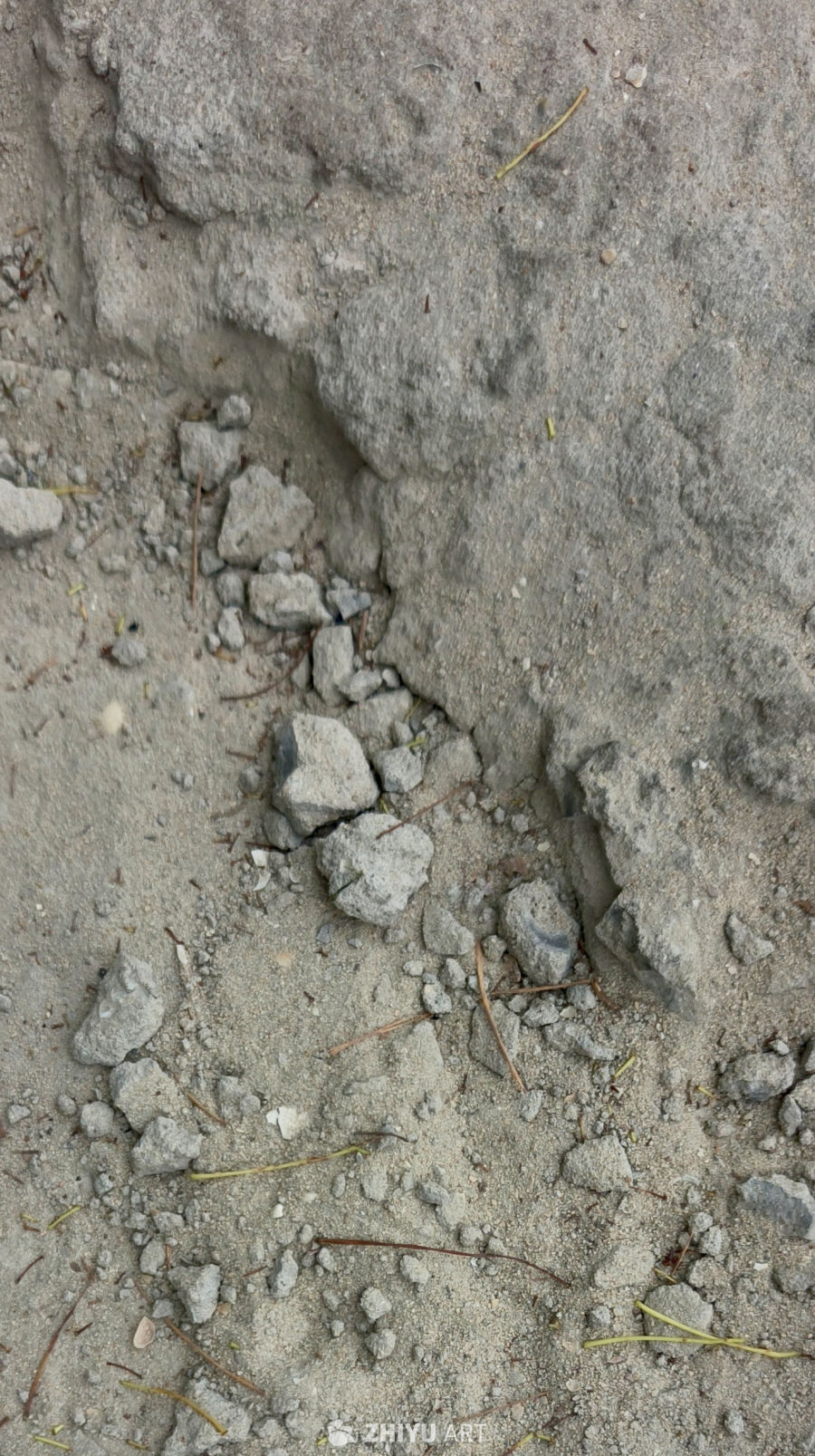 干涸脉络·破裂水泥路