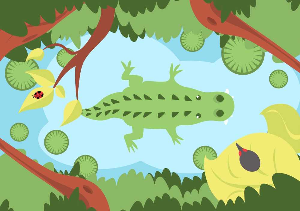 鳄鱼绿色丛林河动物绿色的动物青河