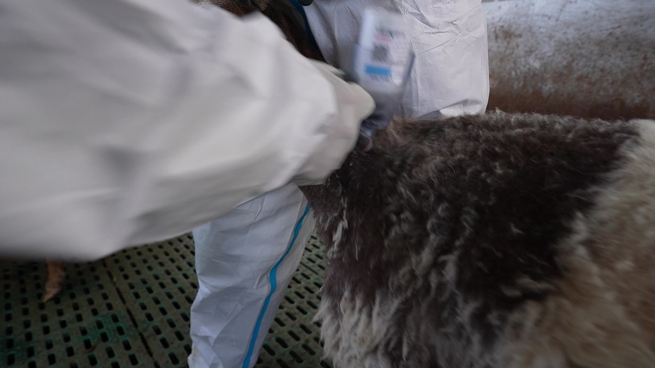 畜牧兽医团队工作记录