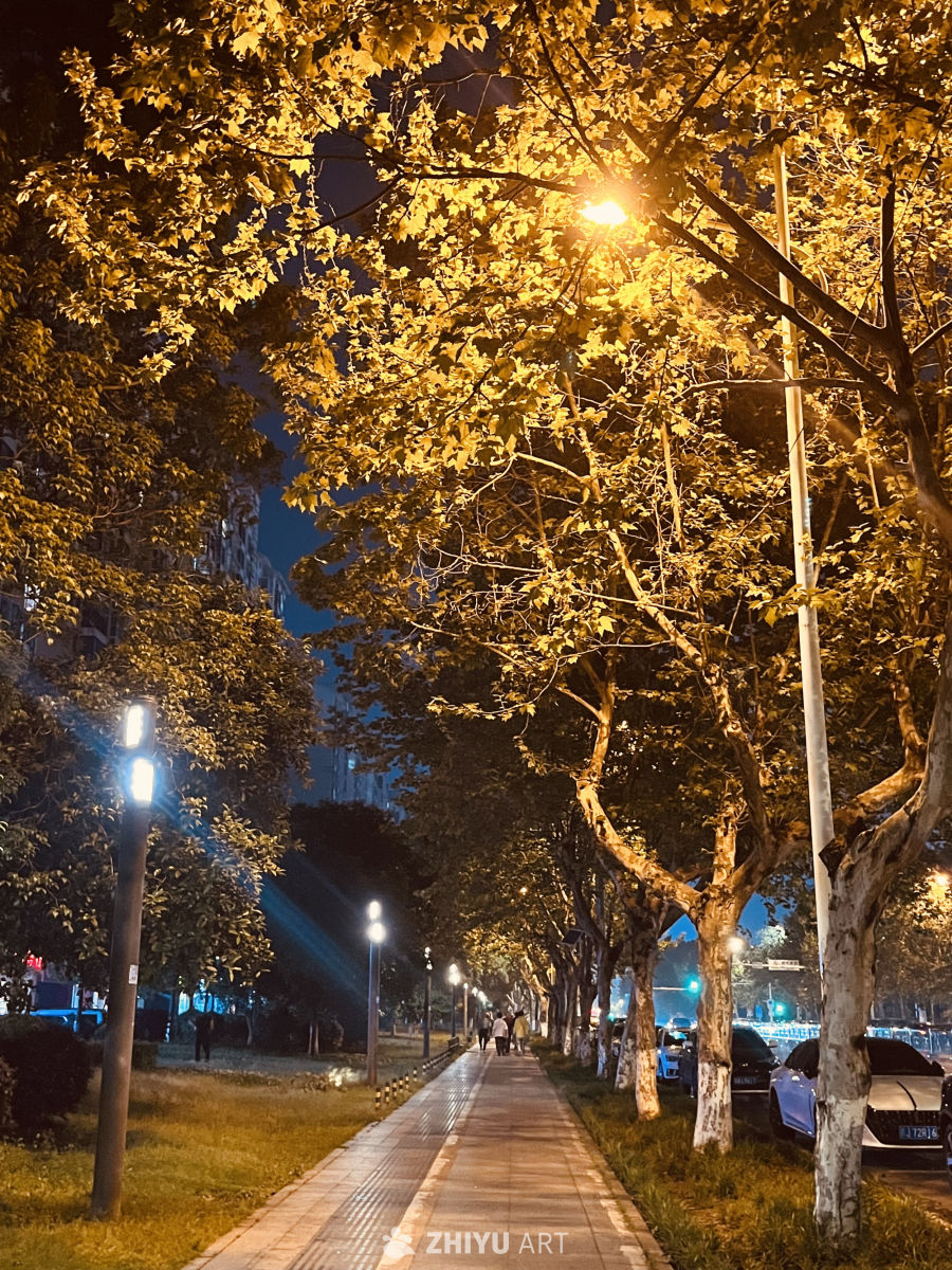 夜色中的城市小径