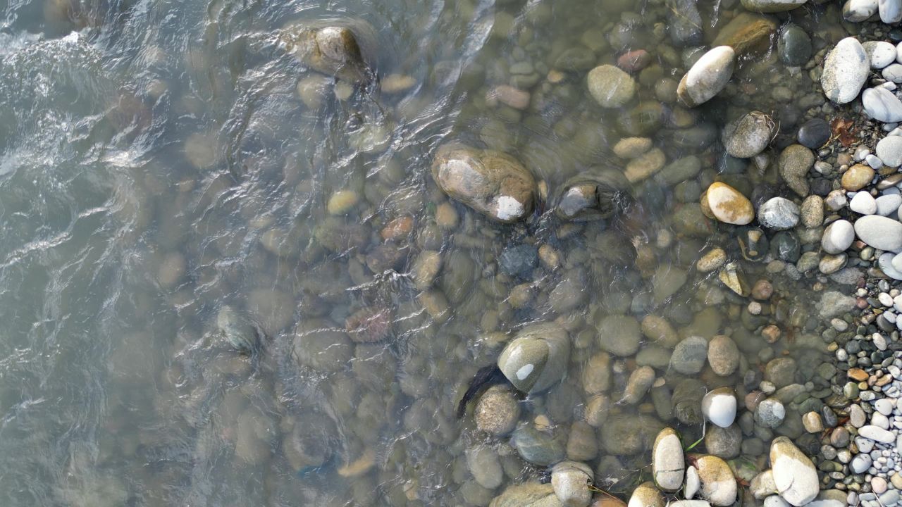 河流鹅卵石俯拍