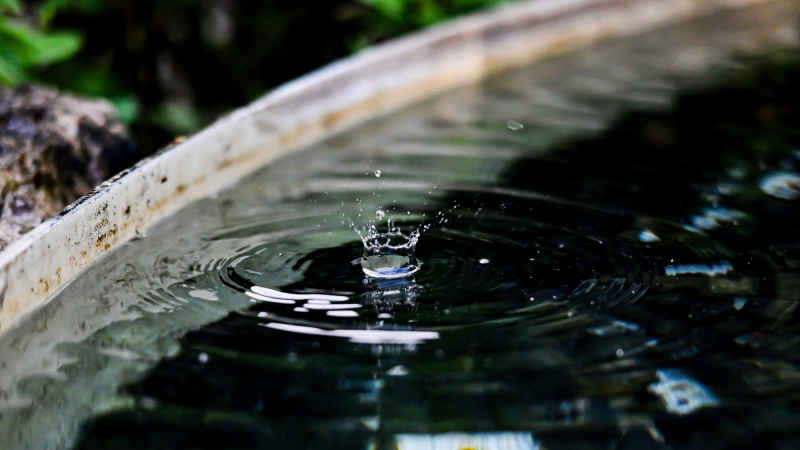 水