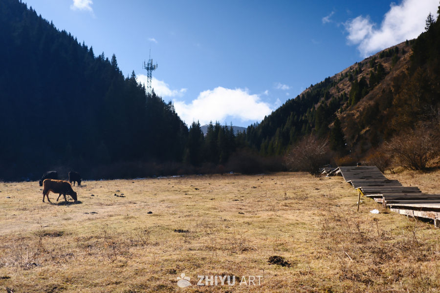 四川松潘风景 16