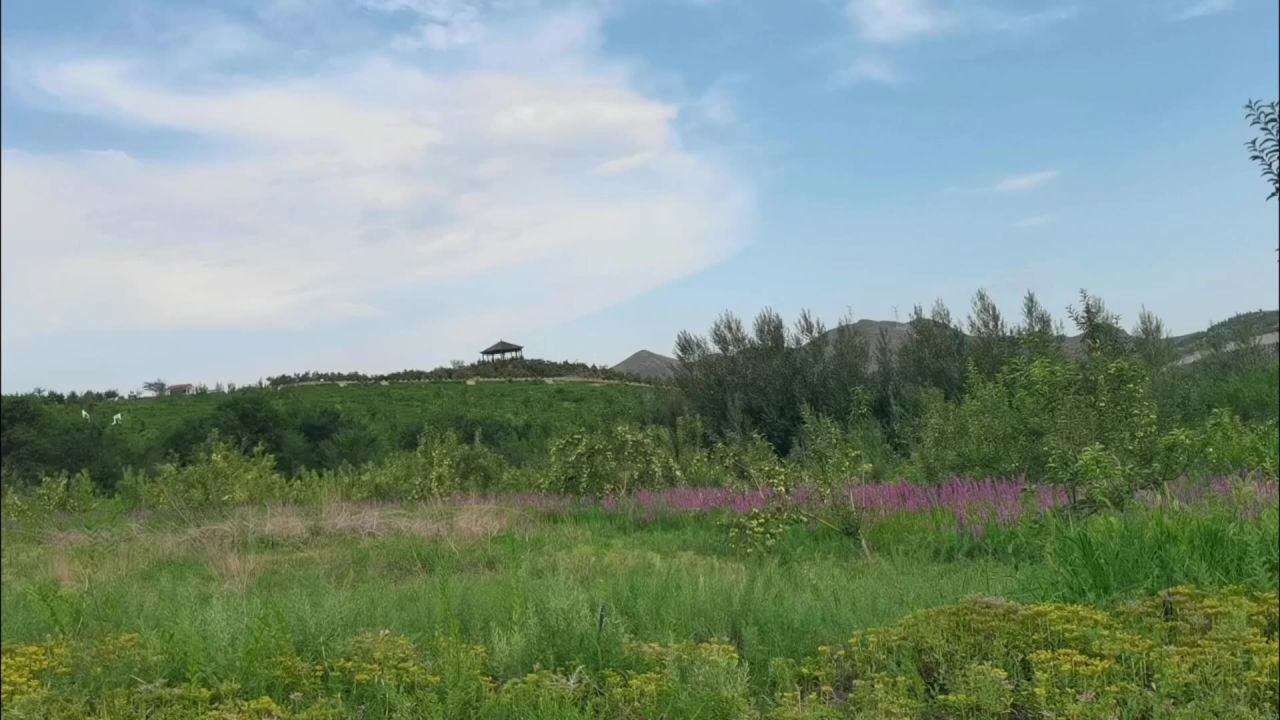沿途风景