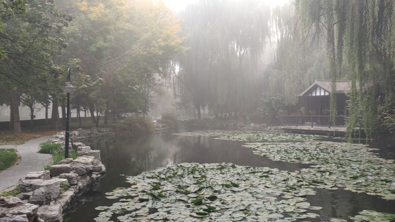 大学 保定 22