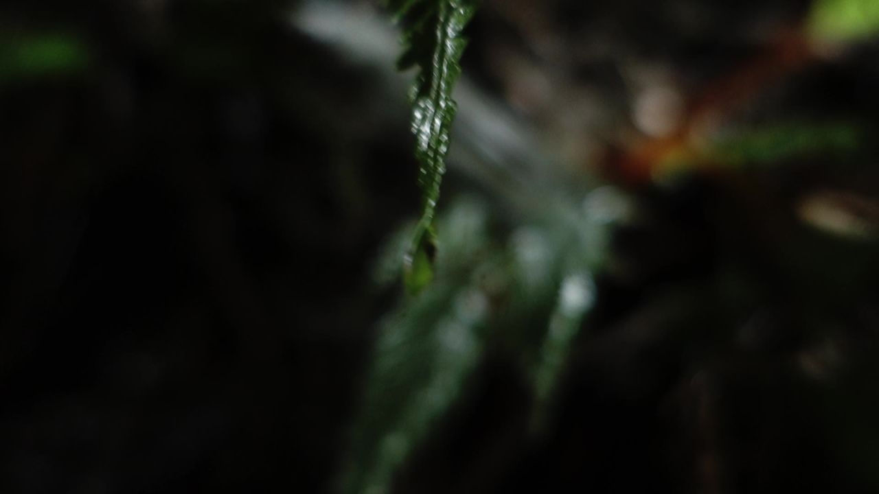 下雨天