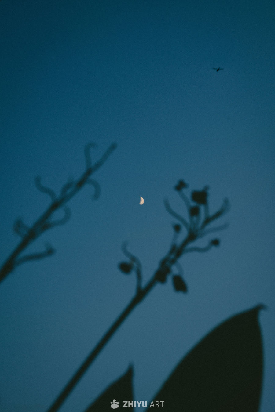 夏末的云