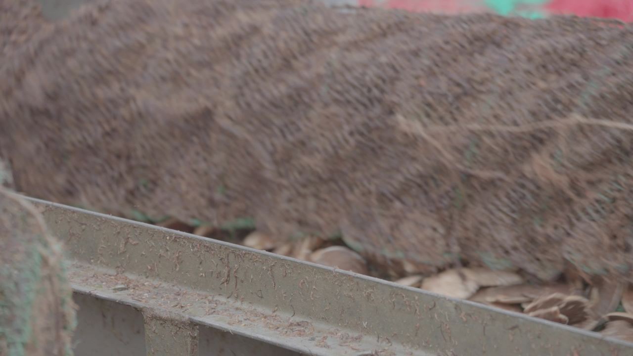 海鲜贝类捕捞加工现场