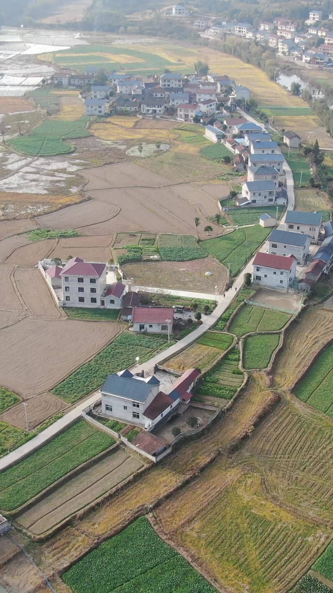 竖屏航拍南方美丽乡村