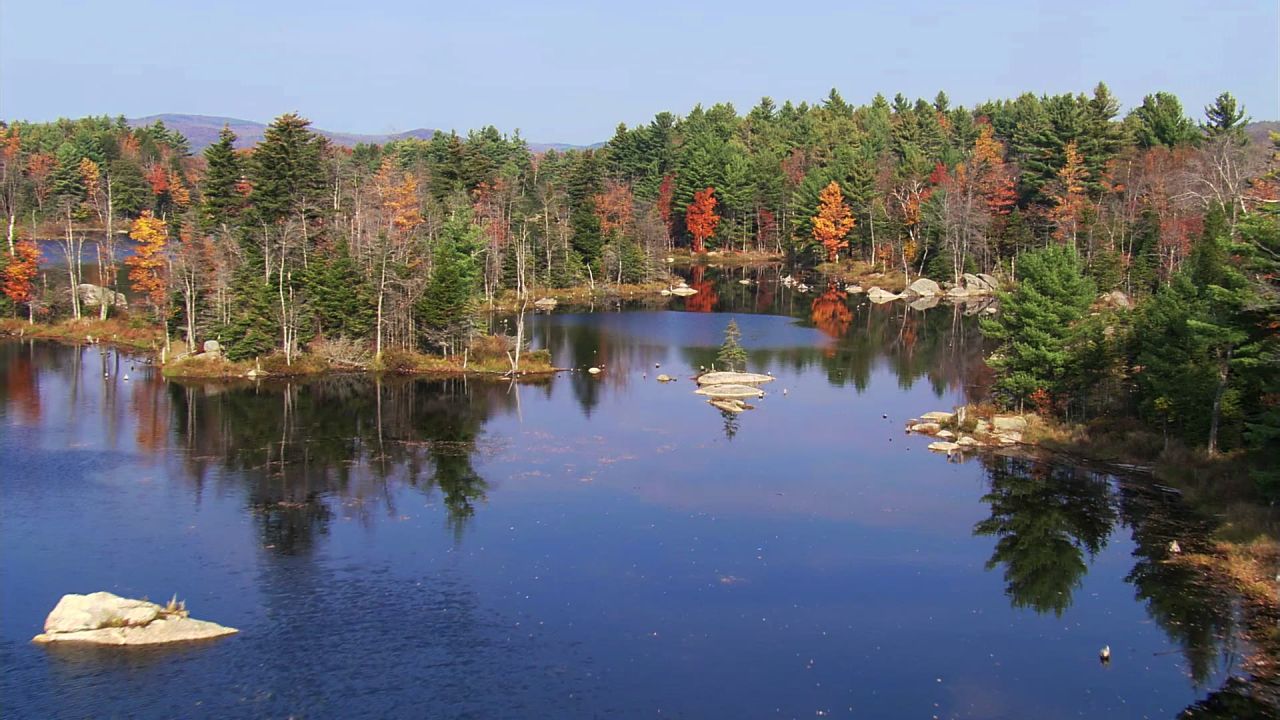 自然旅游 航拍风景彩色树林 湖水
