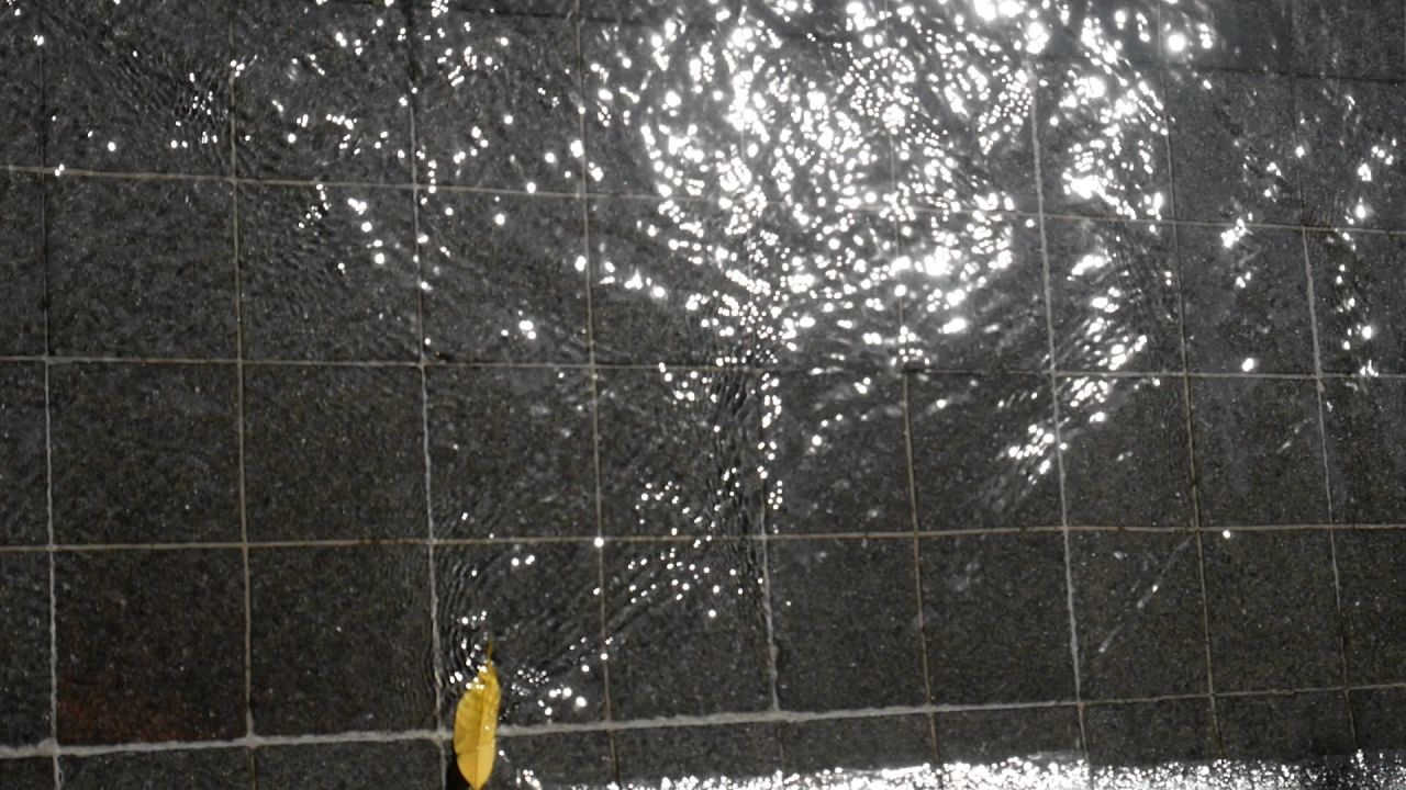 波光粼粼溪流水