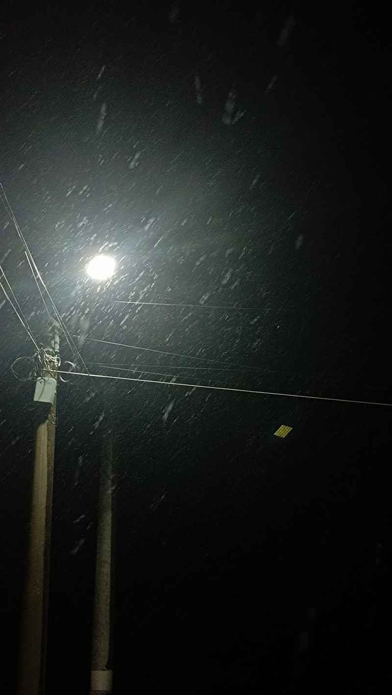 光里的雪