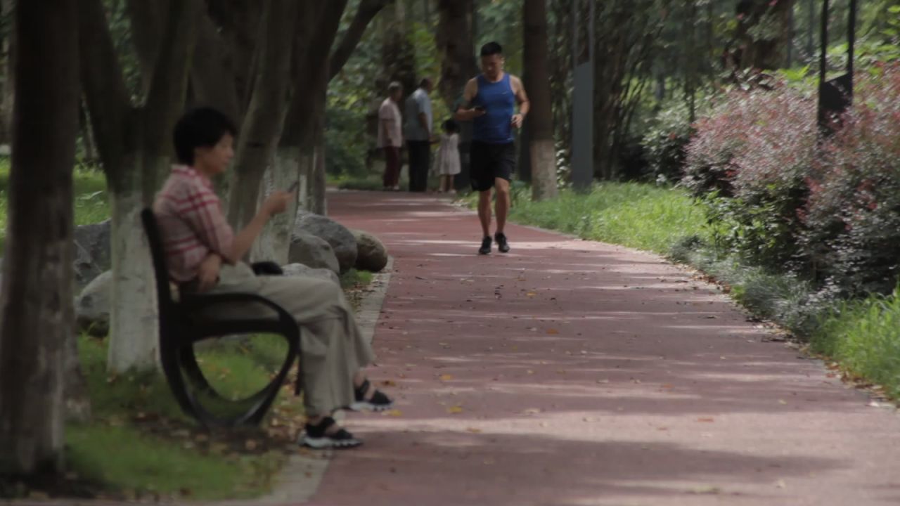 熊猫基地，沙河，锦江339绿道