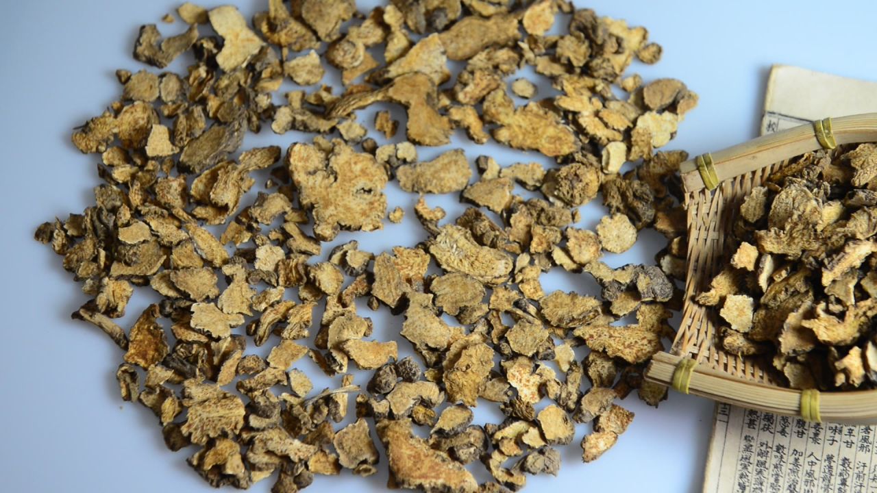 中药材苍术 9