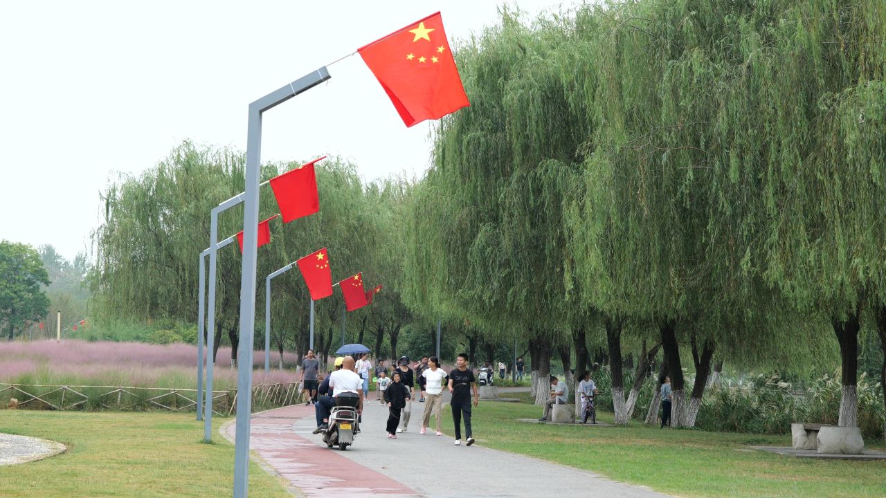 国庆江边芦苇荡 46