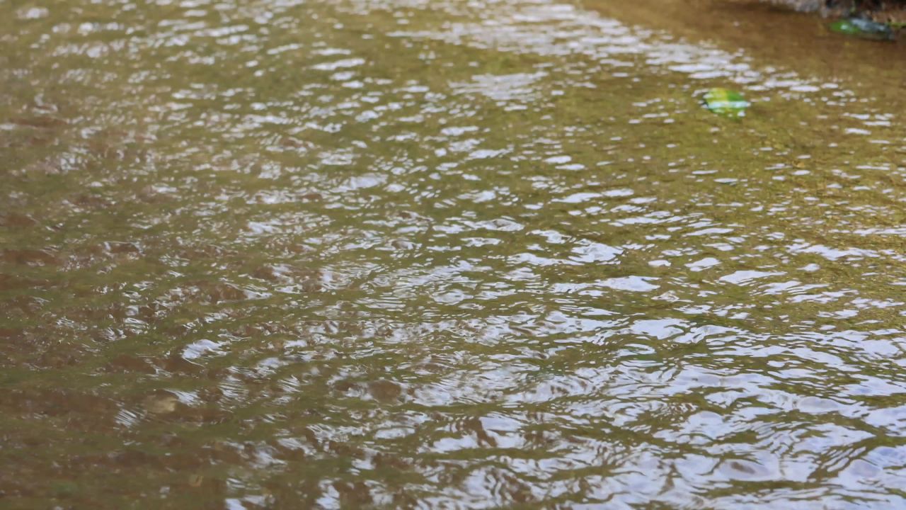 -4K小溪清澈流水9