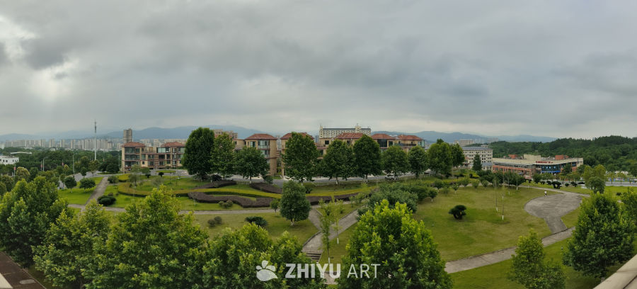 城市绿洲：阴天下的公园与建筑
