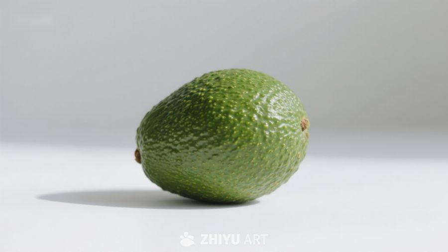 单个新鲜牛油果静置展示 51