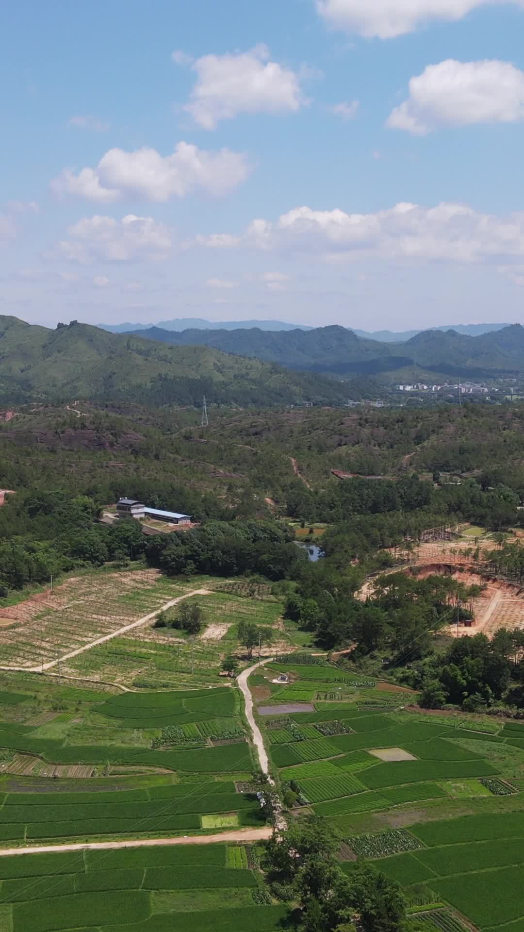 山间绿意田野