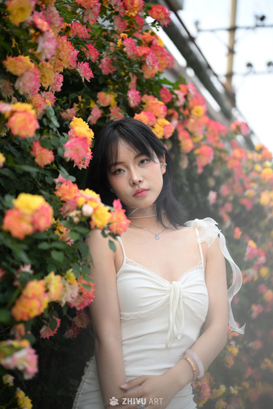 【实拍样片】尼康Z52相机实拍照片 1