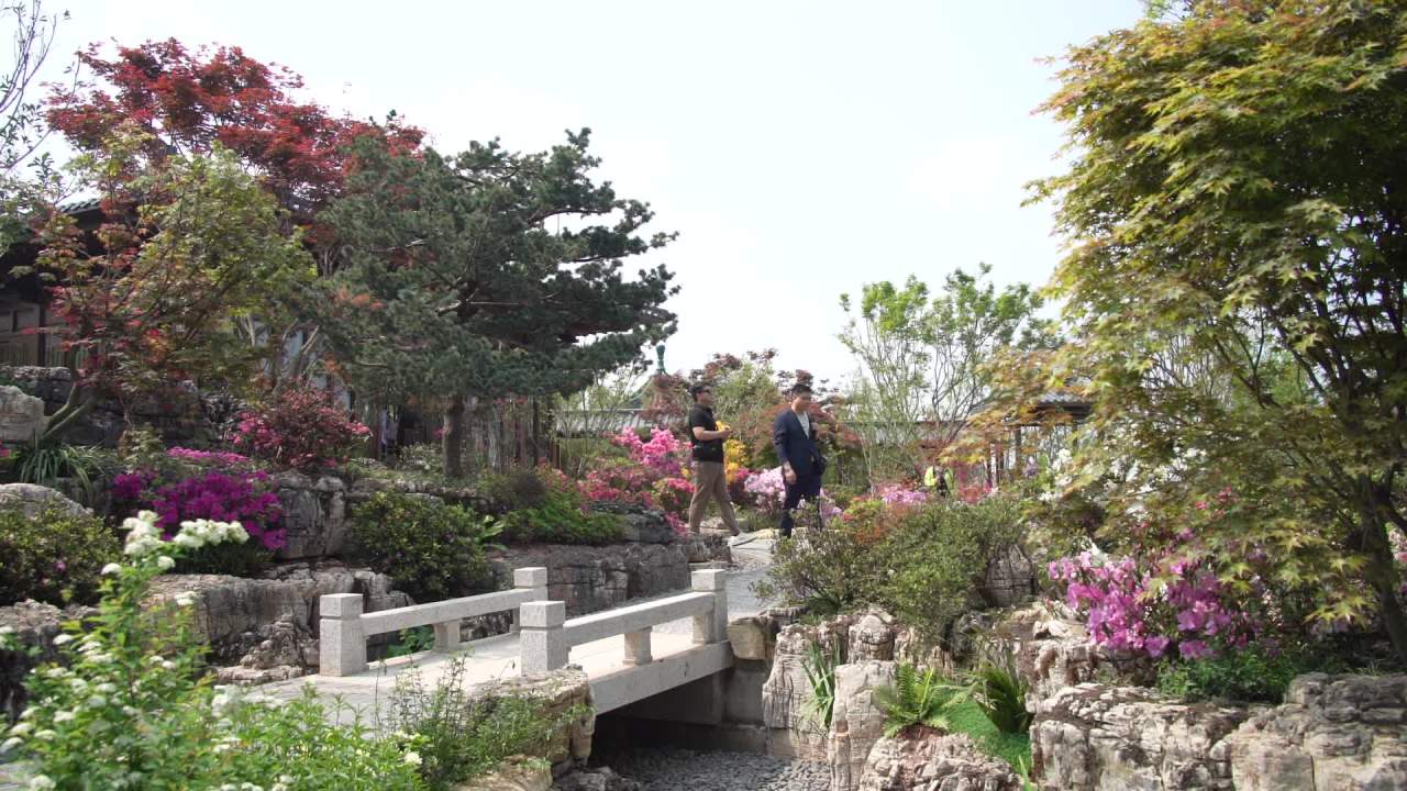 园林里的花花草草 29