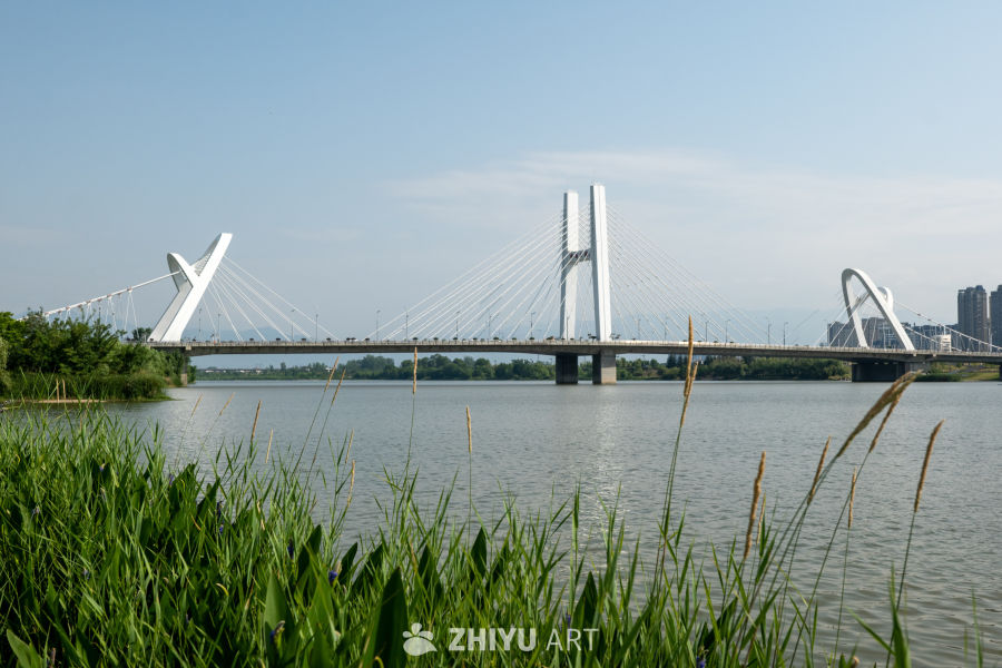 湿地公园一角 6