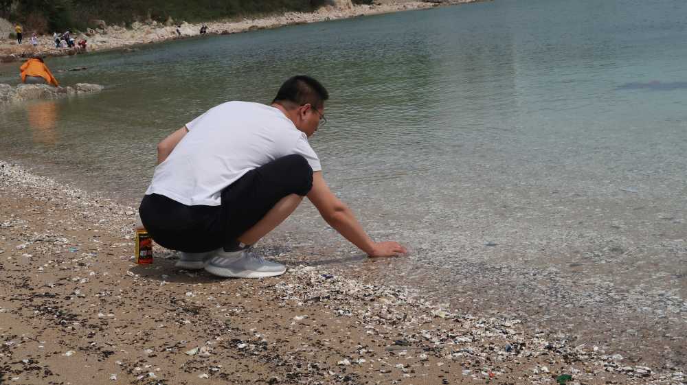 五月青岛海边赶海纪实