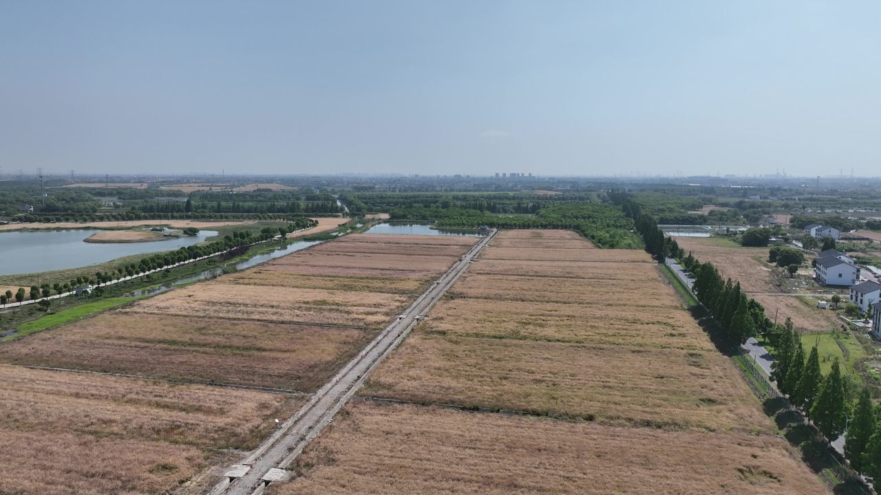 4K航拍昆山农业夏收 13
