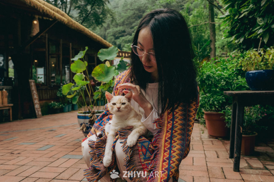 今天你拍猫了吗