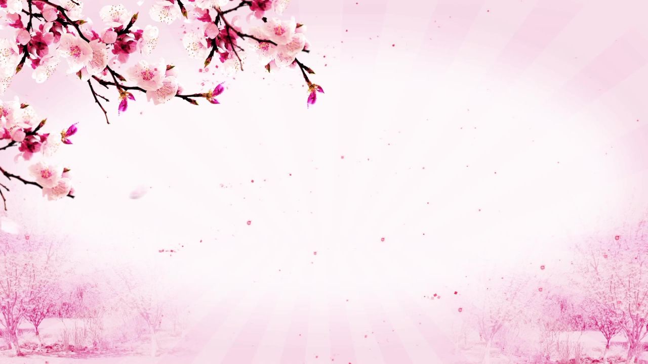 温馨粉色动态视频 
