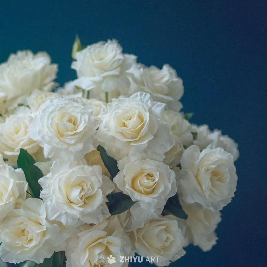 一束美丽的白色花朵，略带黄色和蓝绿色调。这些花被插