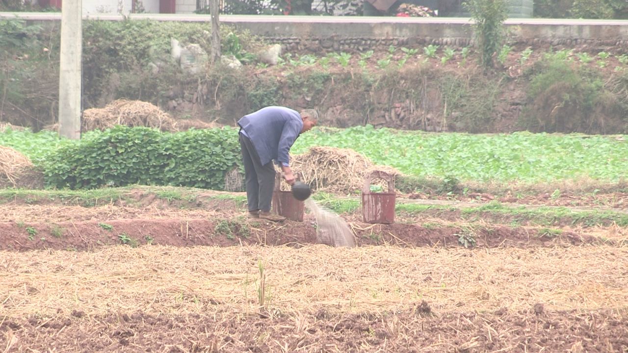 农村田地 下地干活一组