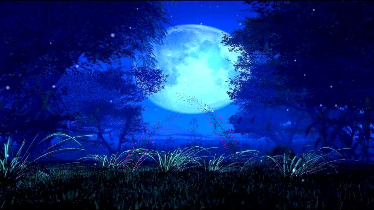 唯美大海上升月亮白月光蓝色夜空圆月明月大屏幕舞台LED视频