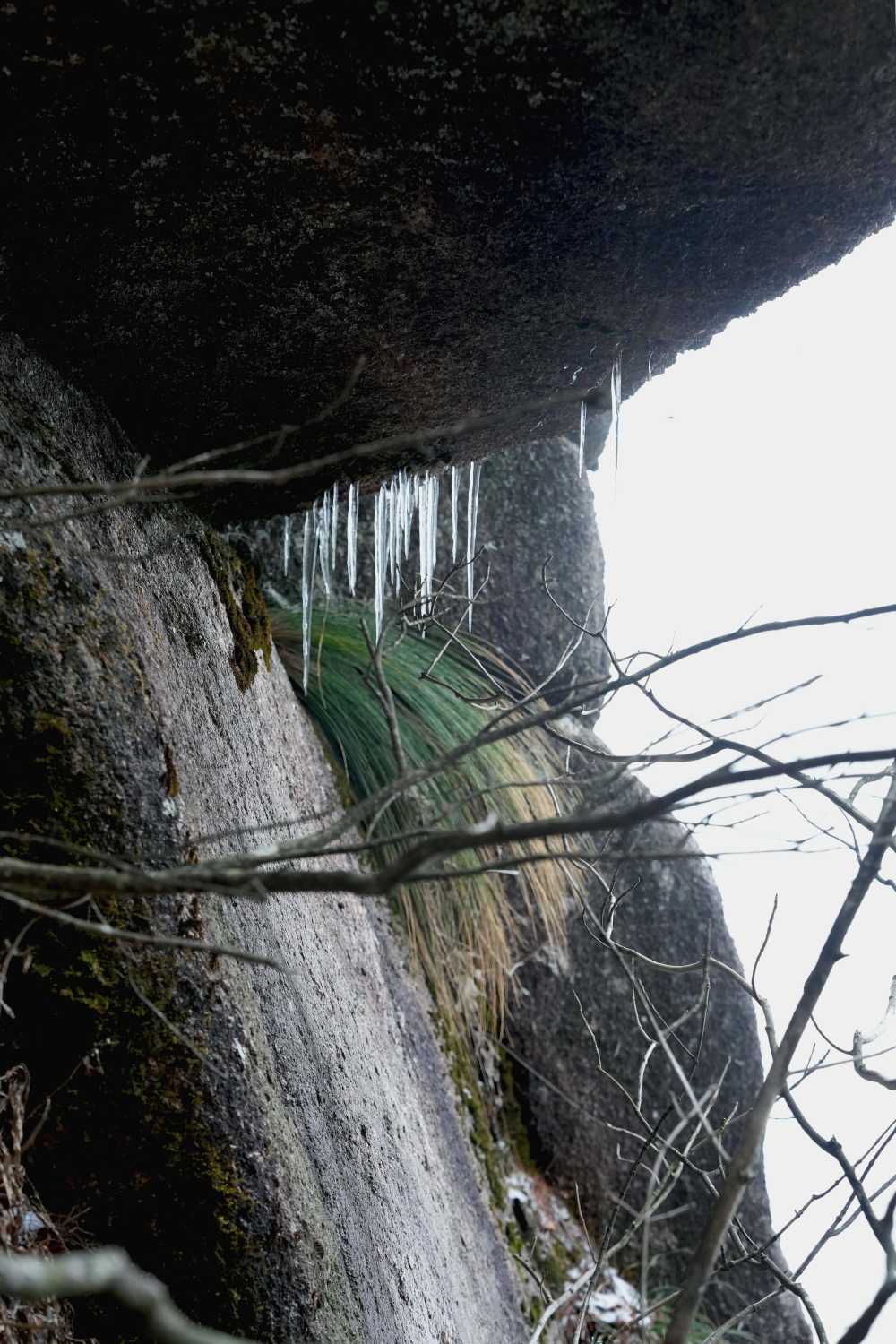 雪落黄山，雾凇云海——雪篇