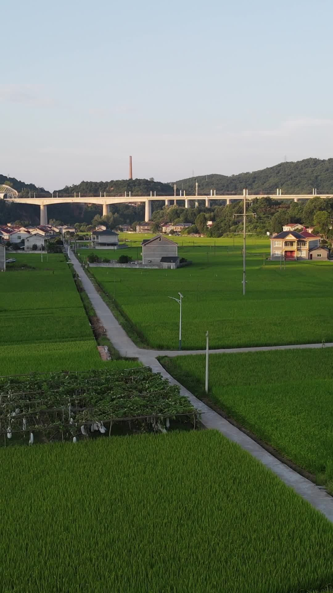 乡村田野与桥梁的和谐景象