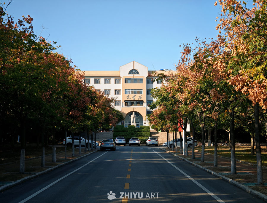 春日里的文学楼