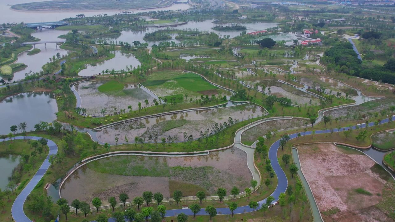 航拍厦门马銮湾双溪湿地公园 4