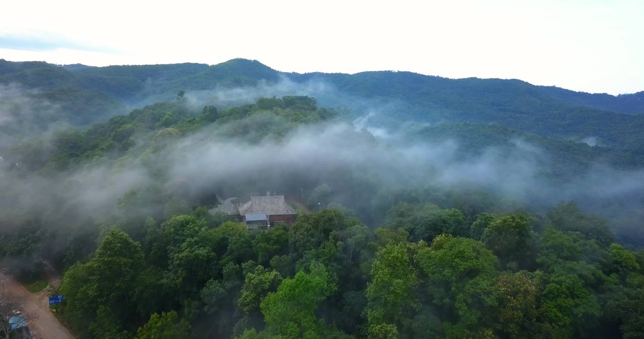 景迈山-1