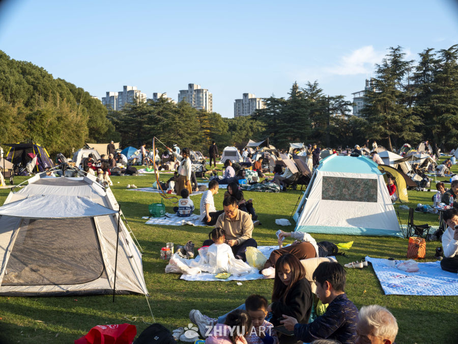 公园露营欢乐时光