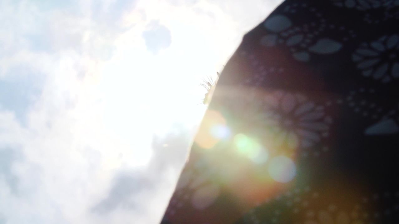 中药材种植丰收金银花特写