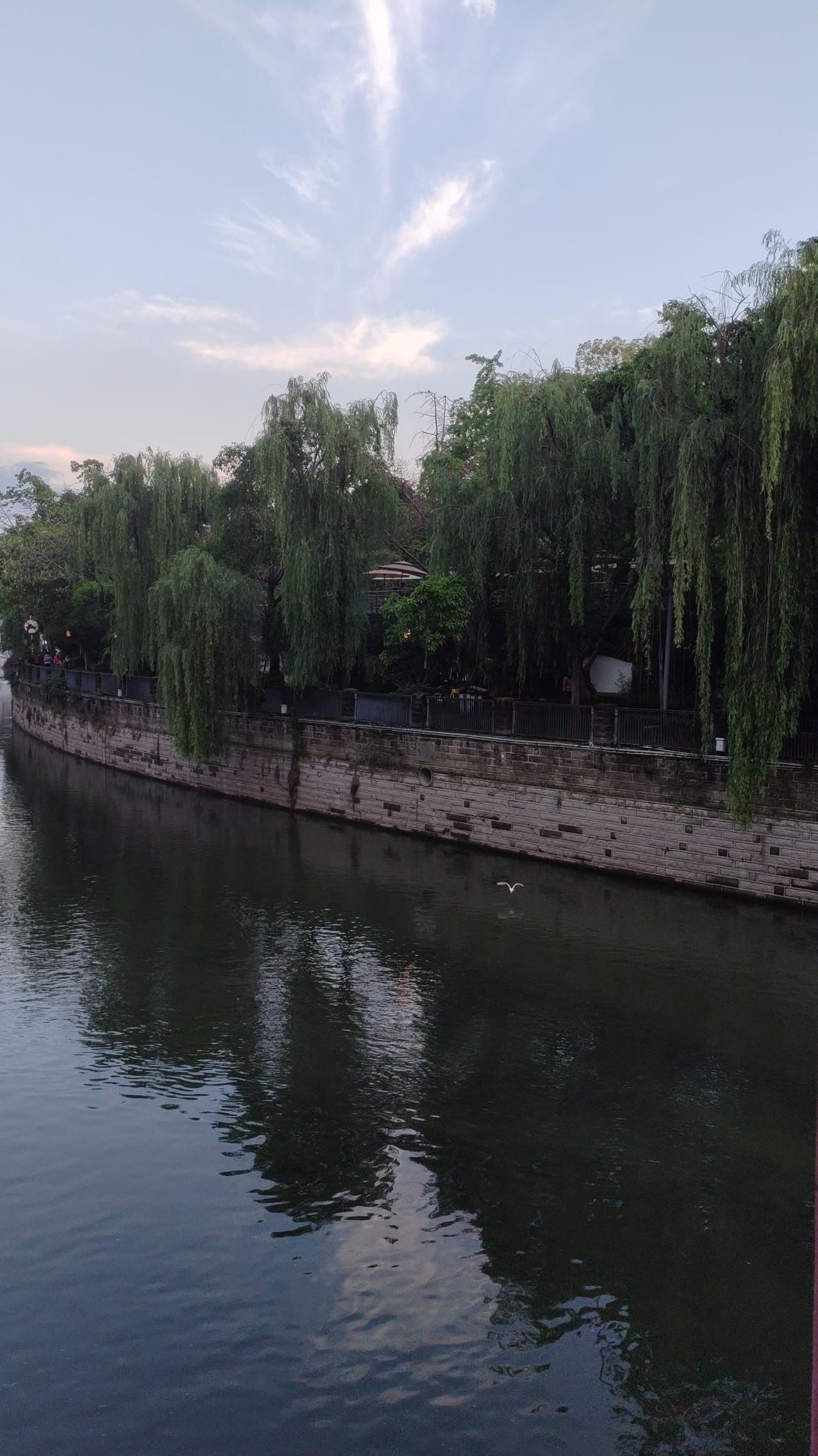 江白鹭