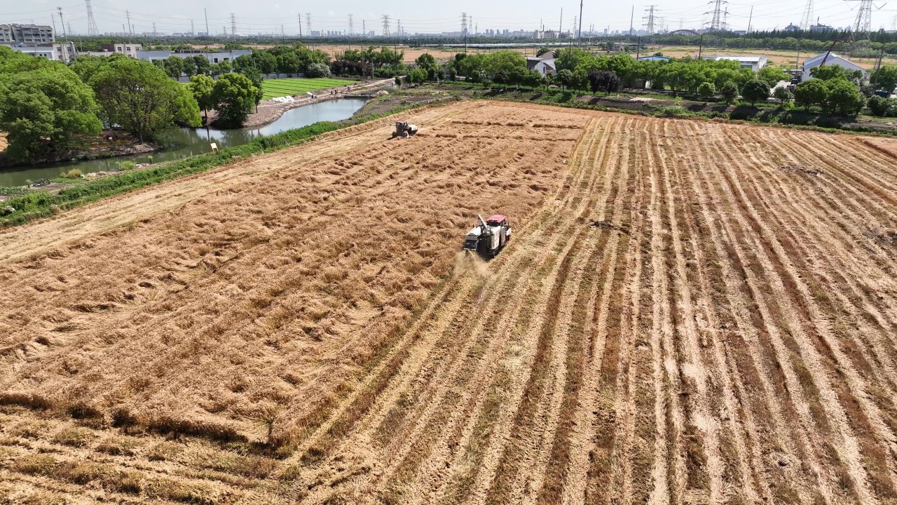 4K航拍昆山农业夏收 42