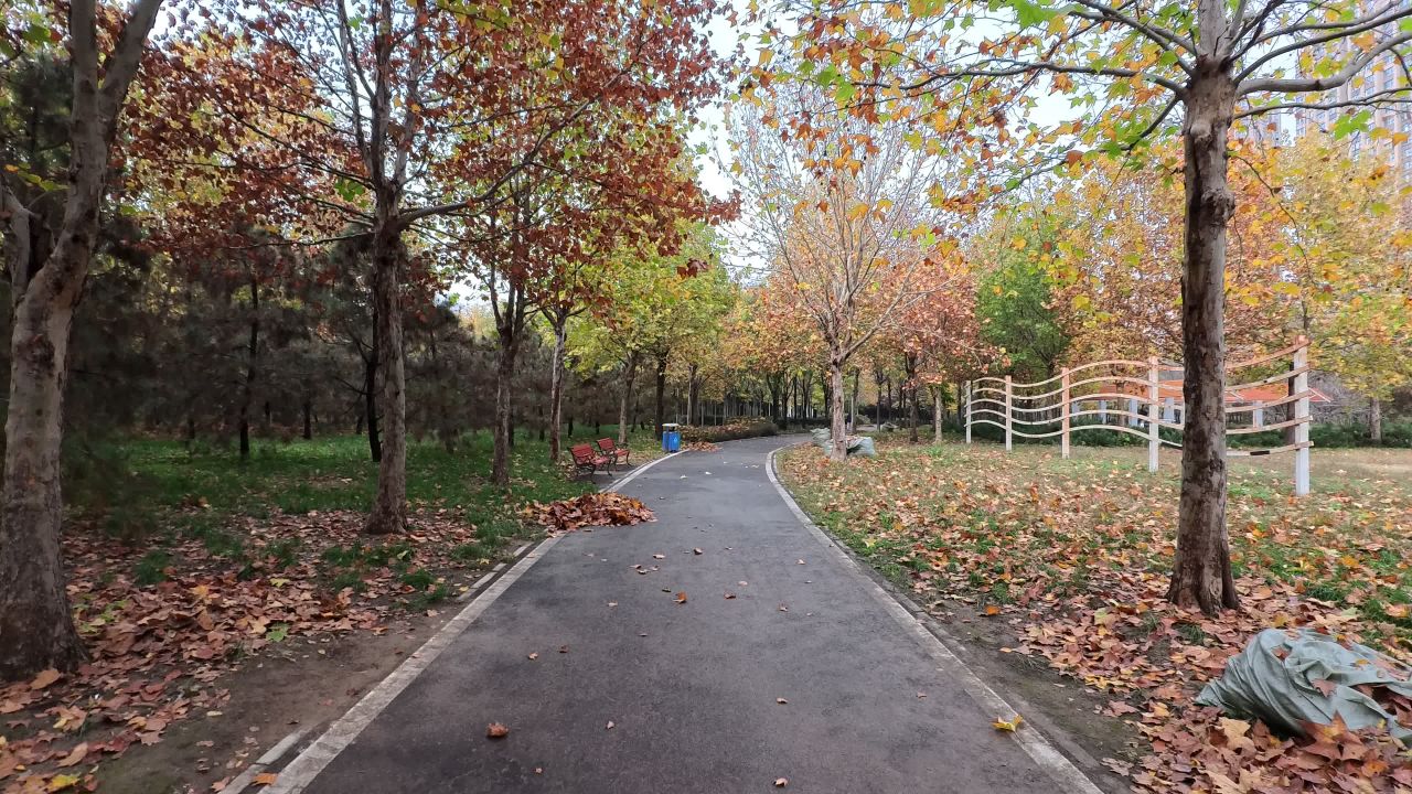 影石Insta360 GO Ultra 4K实拍视频样片 14