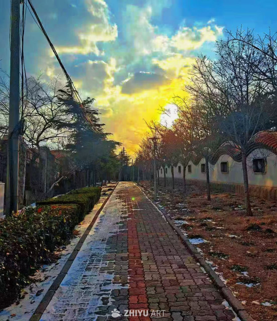 冬日暖阳下的静谧小径