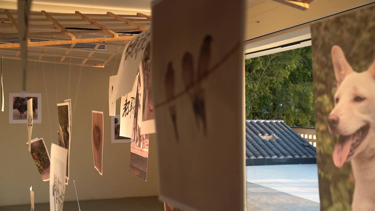 生活节 13