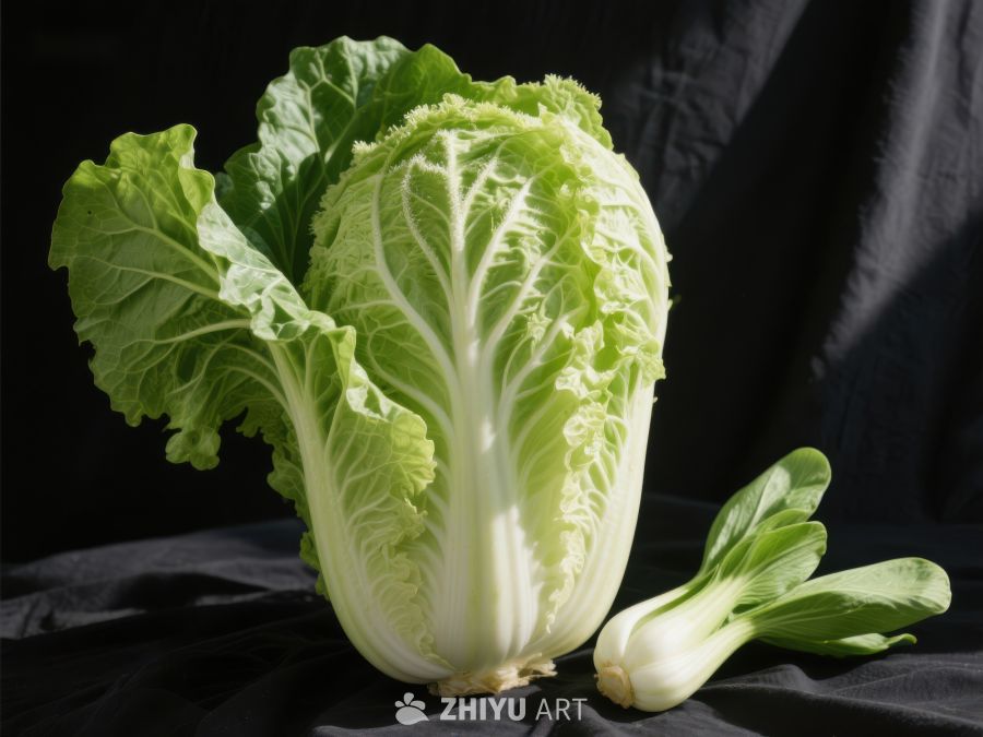 新鲜白菜与小油菜的对比展示 416
