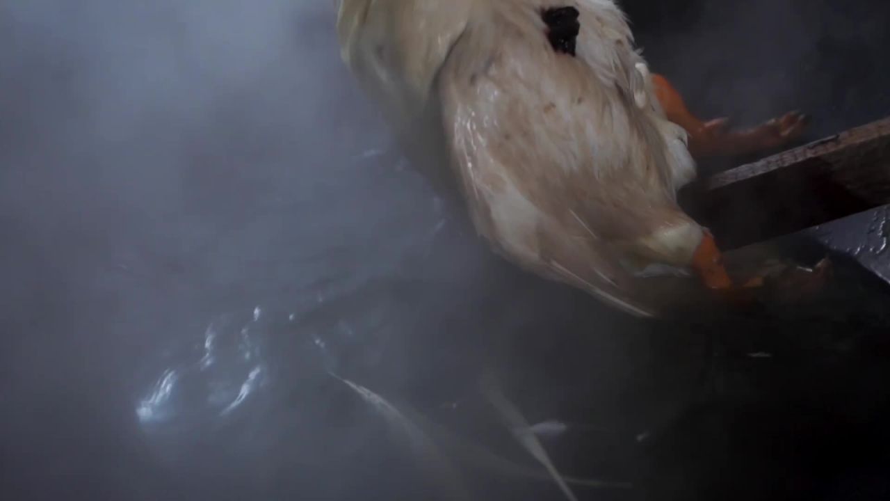 传统鸭子清洗